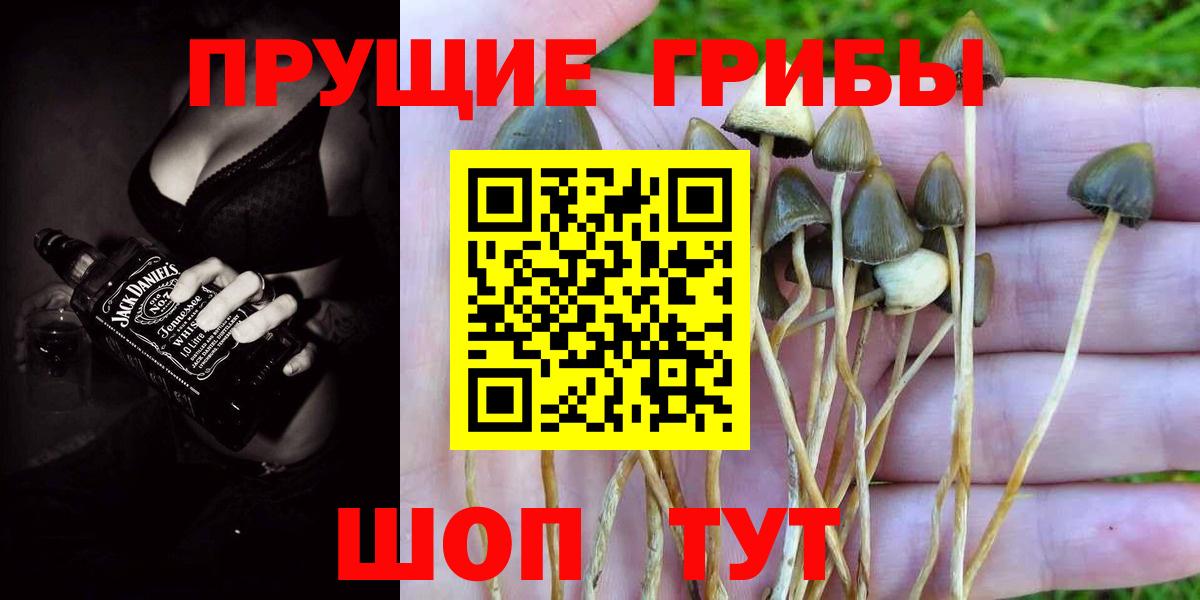 Псилоцибиновые грибы мицелий Амурск