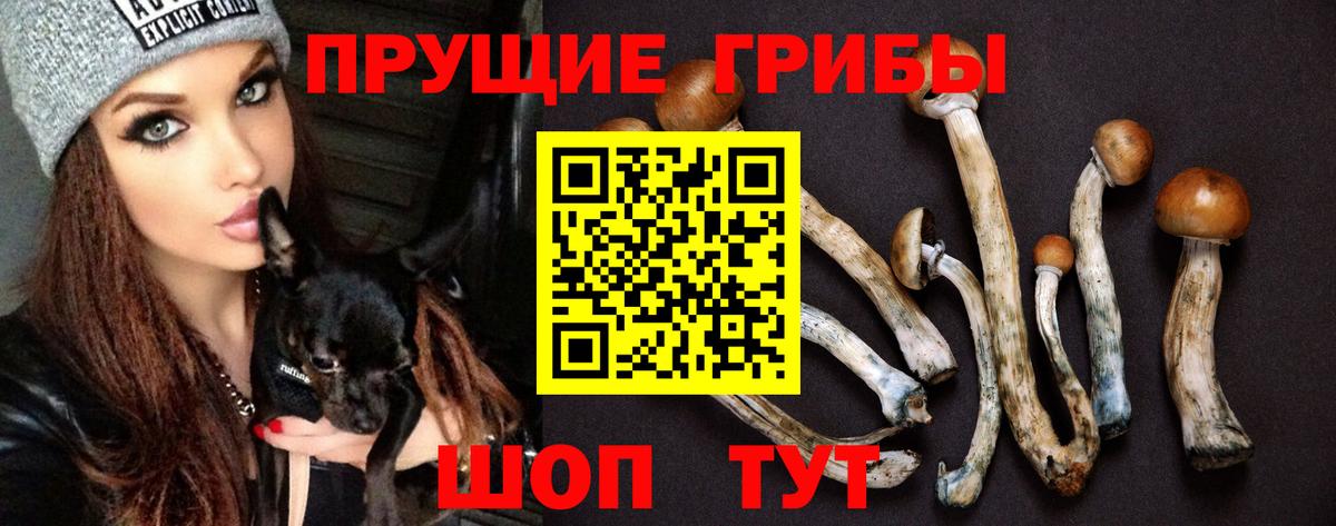 Псилоцибиновые грибы MAGIC MUSHROOMS  Галлюциногенные грибы ЛСД  Вход с VPN  Амурск 