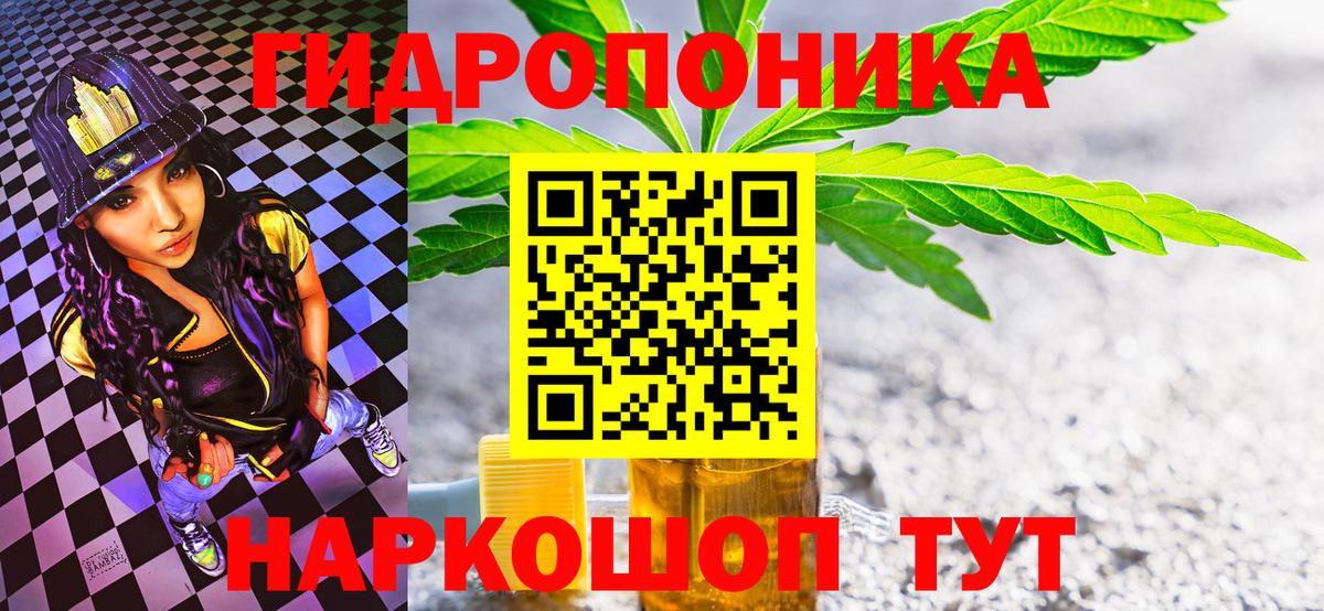 Бошки марихуана Amnesia Амурск